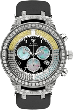 Aqua Master watch repair