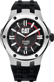 Featured image for post: Cat
