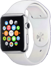 Featured image for post: Soleus